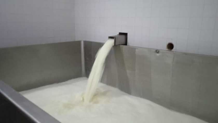 AICAT S.E. compró a Milkaut 6.000 litros de leche para incrementar la producción de Cotali