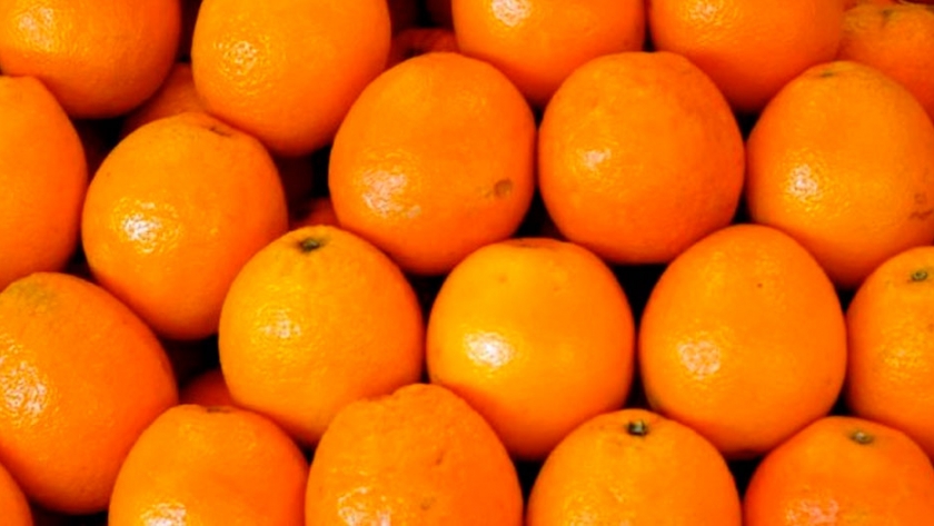 Naranja: la exportación de jugo es la más alta en 11 años