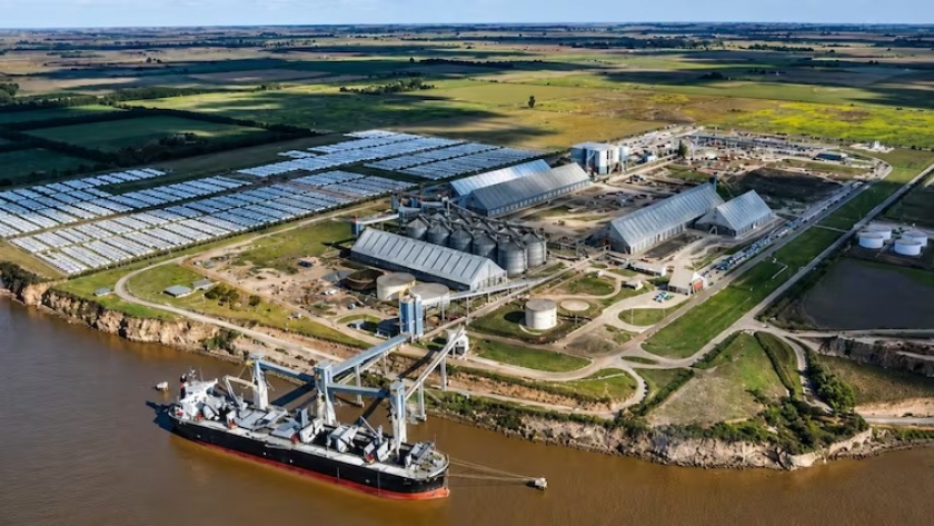 Del Mundial al comercio exterior: el agro argentino consolida a Cabo Verde como un mercado estratégico para sus exportaciones