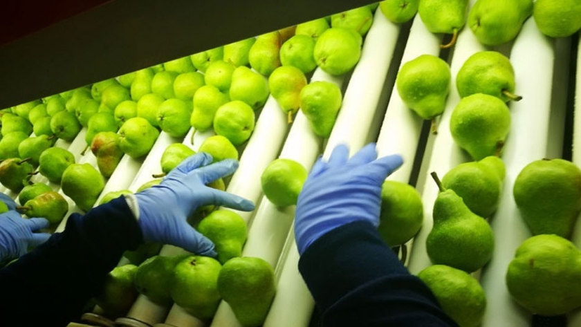 Río Negro presentó herramientas para la mejora de la competitividad de PyMEs junto a Nación