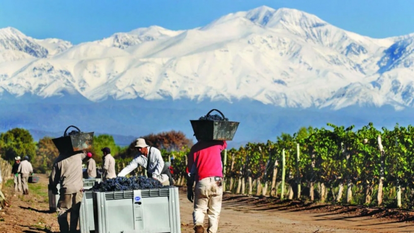 El paraje rural de 10 mil habitantes en Mendoza que es la meca del vino en Argentina