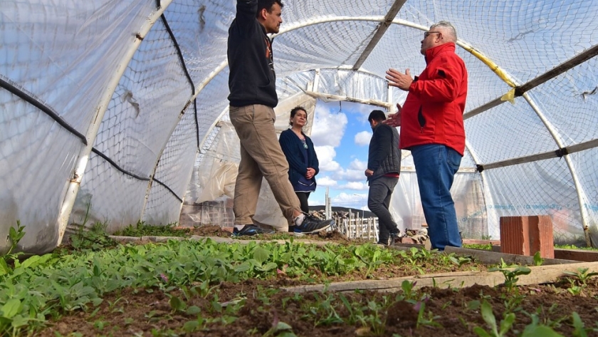 Avanza la producción de hortalizas frescas en Lagunita Salada