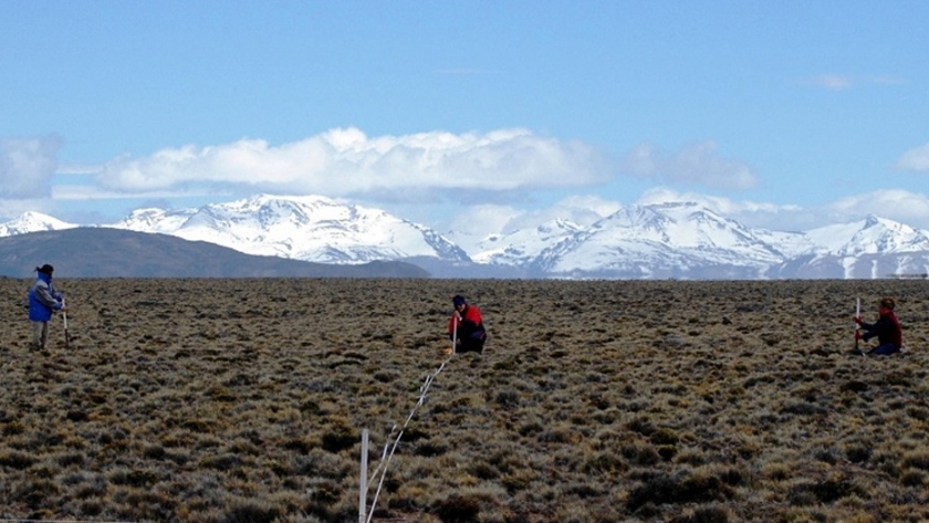 La red MARAS, disponible en una base de datos internacional