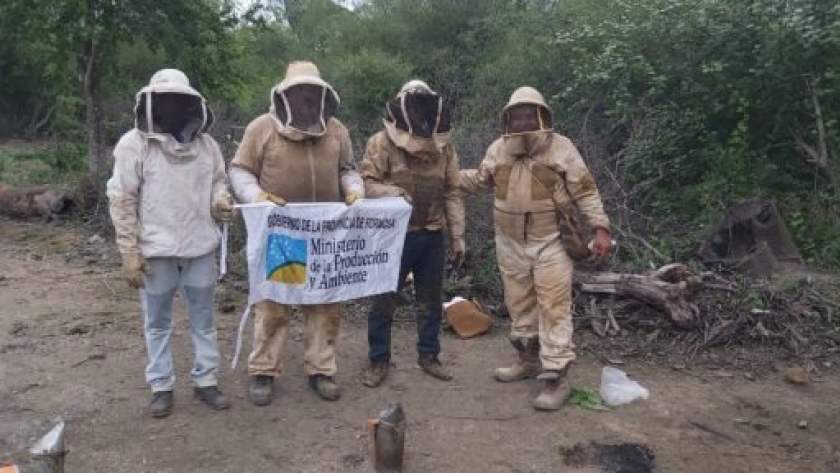 El Potrillo: productores locales de miel fueron convocados al Congreso Apimondia 2023