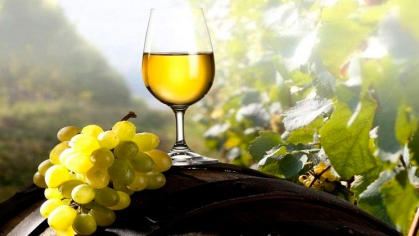 Salta: Llega la Semana del Torrontés de Altura 2018