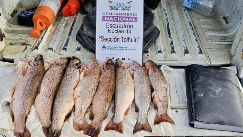 Pesca deportiva: se secuestraron truchas y equipos en operativo de control