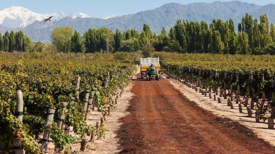 Durigutti Family Winemakers en el puesto 10 de los mejores viñedos del mundo 2024