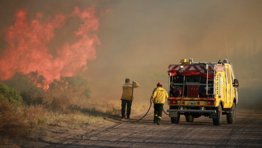Incendios forestales: Se pondrá en marcha un megaoperativo de control en todo el territorio provincial