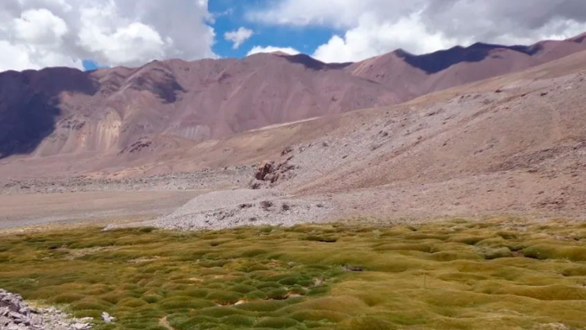 Toma impulso proyecto de humedales que inquieta al Gobierno y empresarios