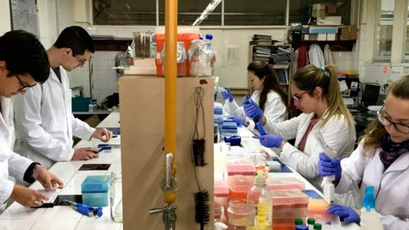 Inversión para el mejoramiento genético de semillas 