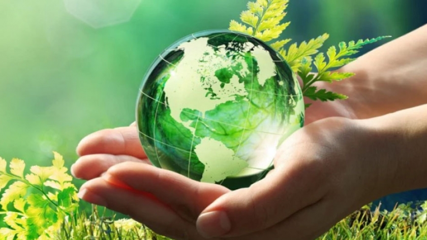 La provincia conmemora la Semana del Ambiente en modo virtual