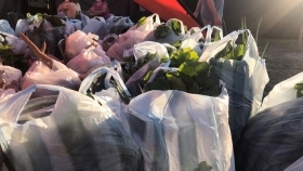 Vecinos de la zona sur de Resistencia acceden a  la producción local de precios promocionales