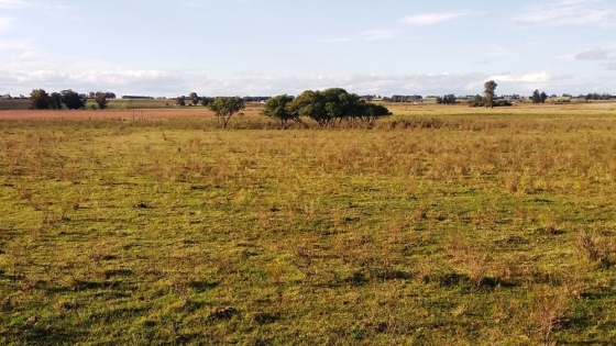 La fertilidad del suelo gana protagonismo en el NOA ante el aumento del uso de fertilizantes y la necesidad de diagnósticos precisos