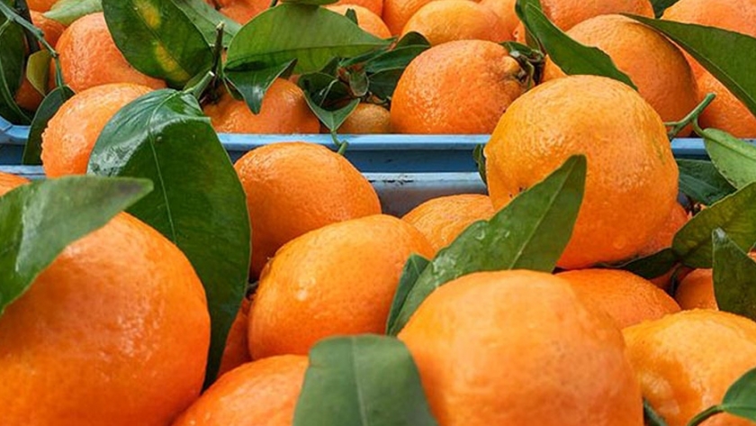 Reino Unido estudia imponer aranceles a productos agroalimentarios europeos