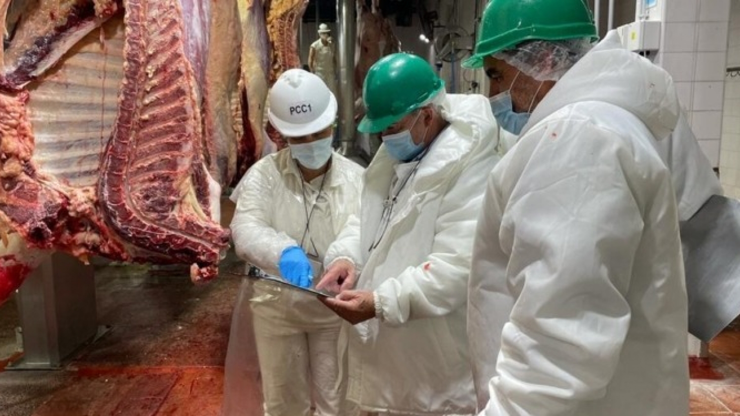 El Senasa eliminó la obligación de contar con un director técnico en frigoríficos y plantas de faena