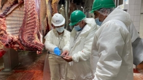 El Senasa eliminó la obligación de contar con un director técnico en frigoríficos y plantas de faena