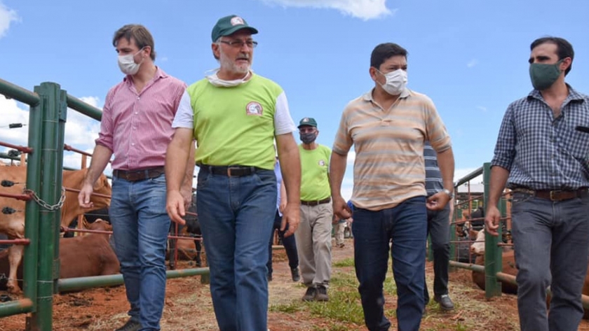 El último remate ganadero se realizó con éxito en Capioviciño