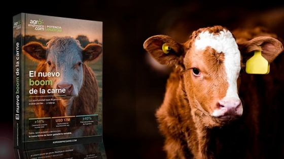 El nuevo boom de la carne: el ebook que analiza por qué la Argentina vuelve a estar frente a una oportunidad histórica