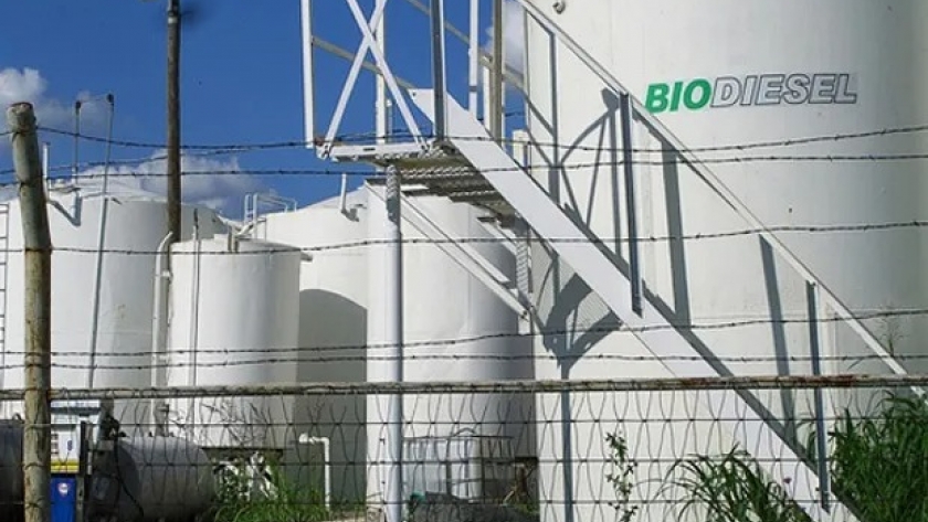 Las empresas que producen biocombustibles para el mercado interno cuestionaron el proyecto de Milei