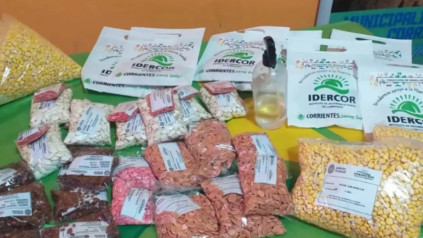 Agricultura: Entrega de semillas a familias productoras