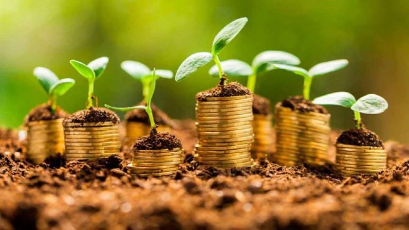 BID  y FMI profundizan lazos para catalizar reformas climáticas y recursos del sector privado para la acción climática.
