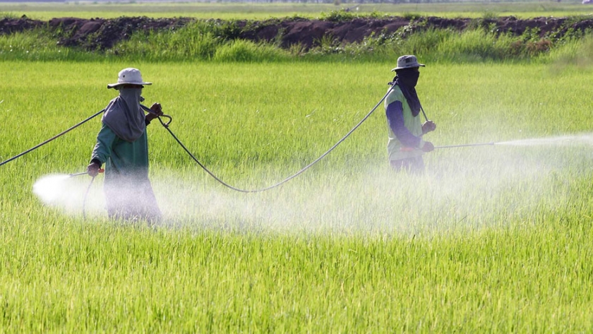 El crecimiento del mercado de adyuvantes agrícolas está impulsado por una mayor demanda de herbicidas