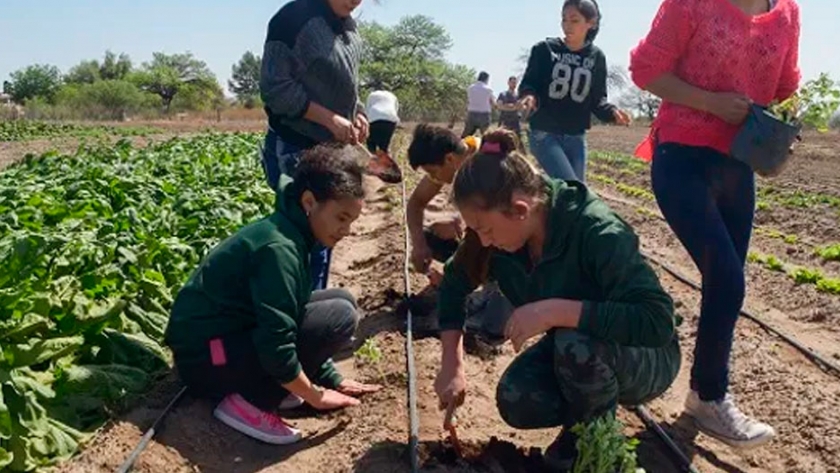 10 planteos para mejorar la Educación Agropecuaria en Argentina