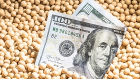 Campaña gruesa: ingresarían hasta US$5.500 millones menos por la sequía