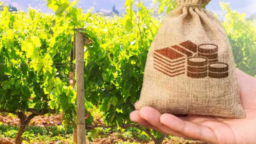Comenzó la primera edición del "curso sobre Costos Agropecuarios para la Agricultura Familiar"