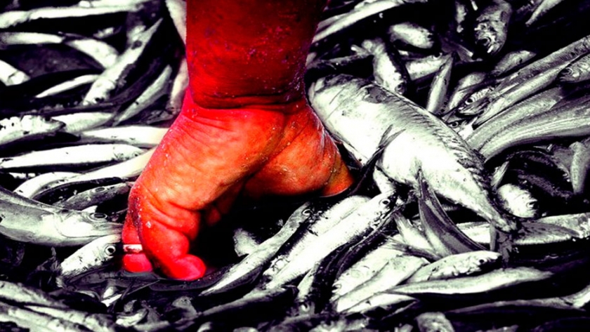 La pesca, un sector exceptuado pero acosado por el colapso de las exportaciones y la caída del mercado interno