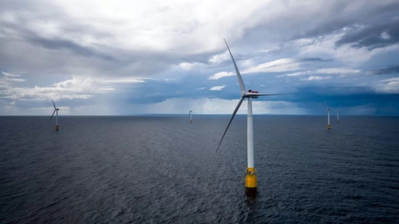 Cuestionan las ventajas de la energía eólica offshore