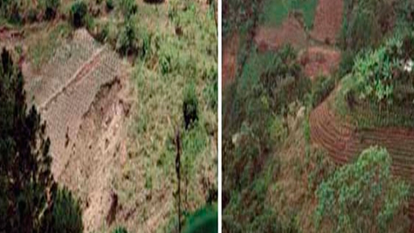 El papel de la biodiversidad en la agricultura campesina en América Latina