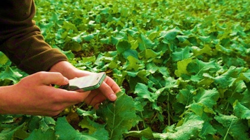 Desarrollo tecnológico en el campo mexicano