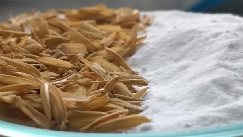 Obtienen un mineral a través de los residuos del arroz