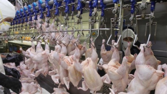 <El sector avicola acordó una paritaria del 23,75% para febrero