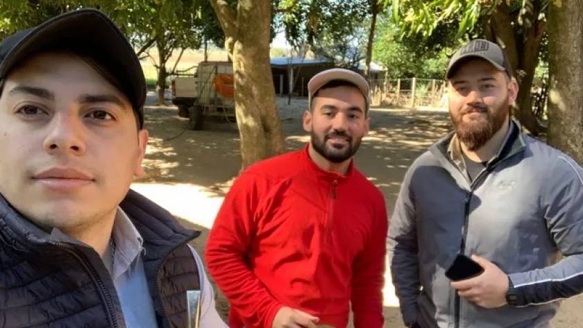 Tres amigos se volcaron al agro para emprender, ya producen 4000 kilos de limones y fomentan a otros jóvenes a sumarse