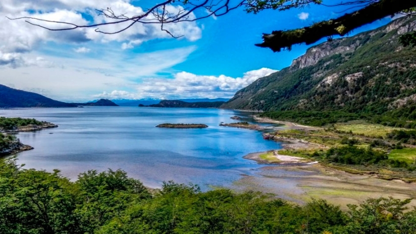 Efecto de las características del hábitat y el paisaje sobre el ensamble de aves de bosques con ganadería integrada en Tierra del Fuego