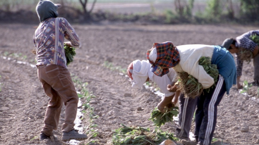 Agricultura conformó la Comisión Nacional Permanente de Regularización Dominial de la Tierra Rural