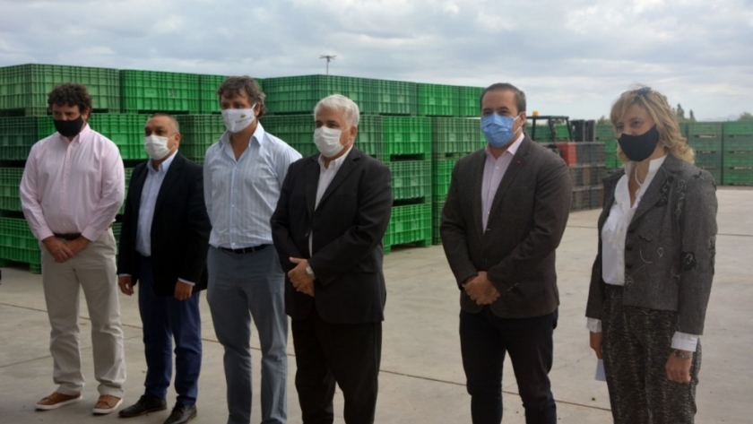 Presentaron los aceites de oliva de la temporada 2021