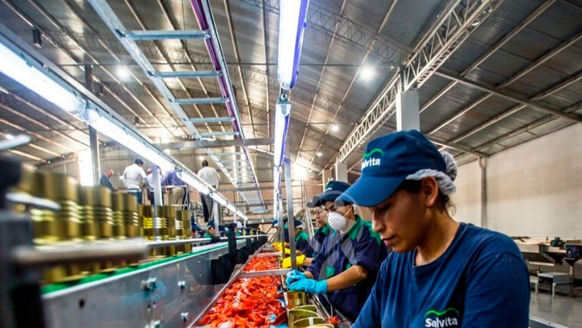 El norte lidera el mercado de las conservas de pimiento morrón