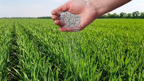 El zinc gana protagonismo en la fertilización de trigo y maíz
