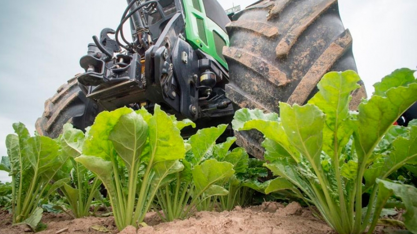 ALAS propone herramientas de sanidad vegetal bajo criterios científicos