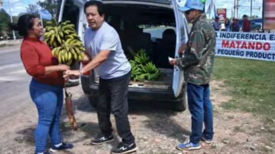 Por qué los productores bananeros regalaron fruta en Formosa