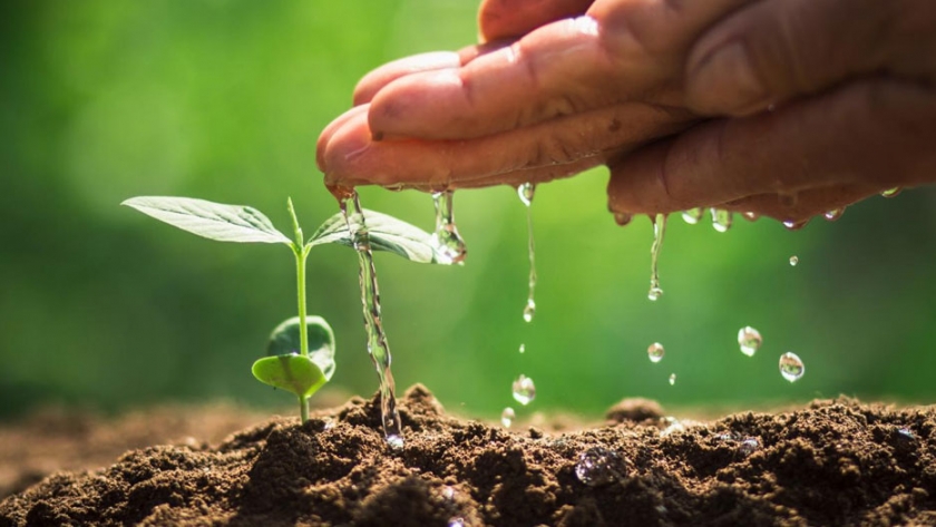Conocé los ocho proyectos de investigación agropecuaria que realizará INTA financiados por SECITI