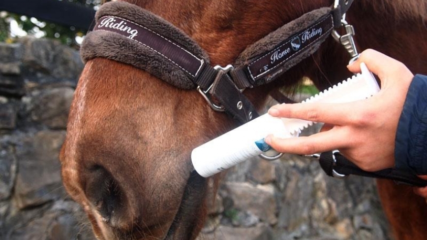 Un buen plan de desparasitación, esencial para el control del caballo
