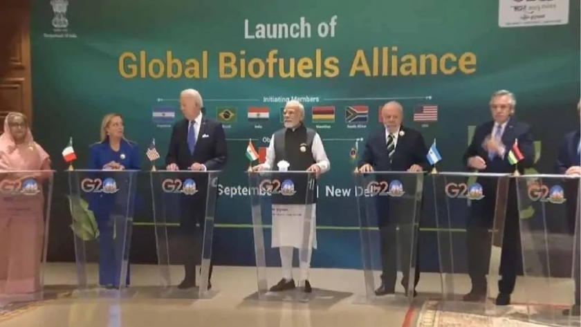 Durante la Cumbre del G20 fue lanzada oficialmente la Alianza Mundial de Biocombustibles