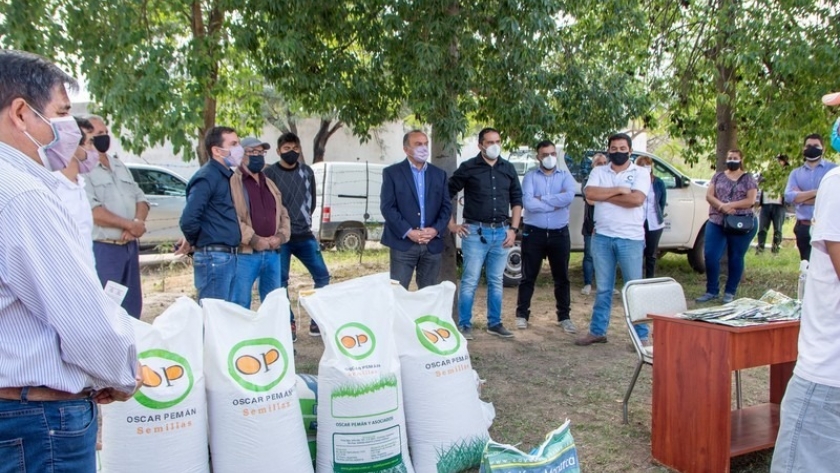 Comenzó el pago de la cosecha de membrillo en el Oeste