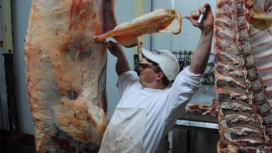 La menor oferta de ganado profundiza la caída de la faena y anticipa cambios en el mercado de la carne