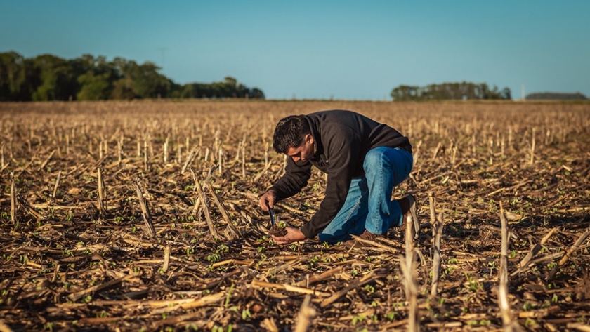 Imaginar la agricultura más allá de los límites