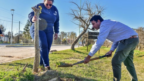 Semana del Árbol: un municipio entrerriano lleva adelante la plantación de 100 árboles de diferentes especies